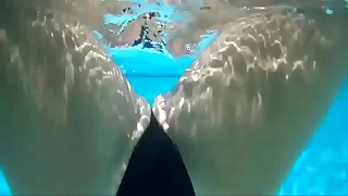 6380 solo porn videos